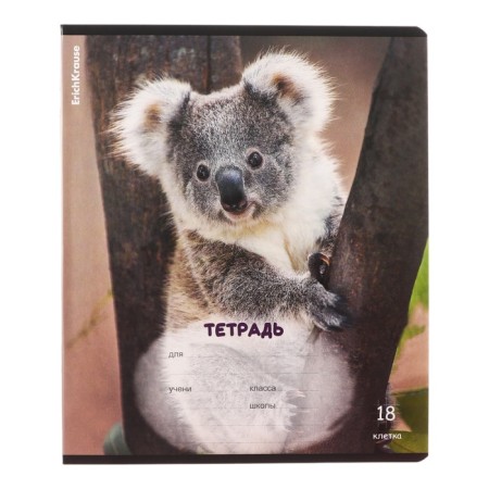 Notebook of 18 sheets in the Erichkrause “Fluff” cage, covered cartoon, OFSET block, mix-5