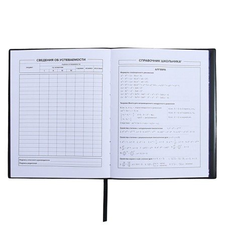 Universal Diary Grade 1-11, 48 sheets "Urban", a soft cover of PVC, embossing with foil, pocket, liesa, an offset unit-8
