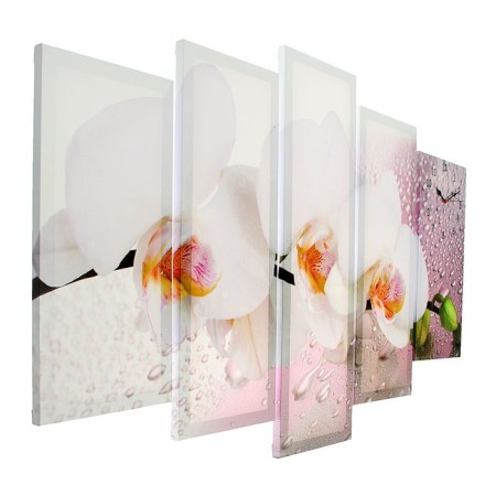 Watching, modular, series: flowers, "White Orchid", 80x140 cm-1