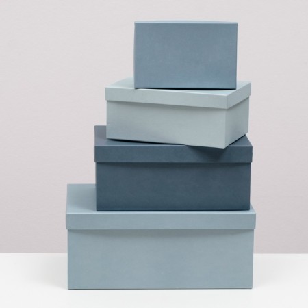 Set of boxes 10 in 1 "barracudus" 30.5 x 20 x 13 - 12 x 6.5 x 4 cm-4