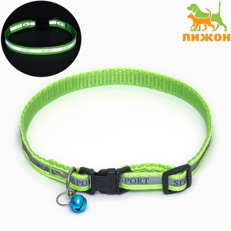Collar "sport" with a reflective strip, 31 x 1 cm, green