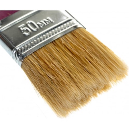 Brush flat bison 4-01011-050, natural bristles, plastic pen, 50mm-3