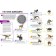 Animals / dinosaurs. 250 incredible facts (encyclopedia in augmented reality) Saletkov Yu. / Popov Ya.