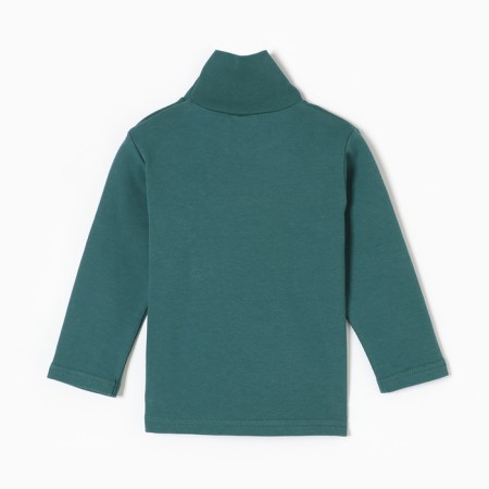 Turtleneck for boys, emerald color, height 92 cm-3
