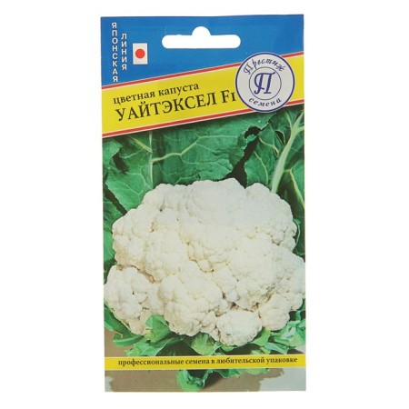 Seeds Cabbage Color "Whitexel", F1, 10 pcs.