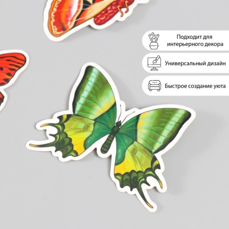 Butterflies cardboard "natural" set 12 pcs h = 4-10 cm-1
