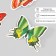 Butterflies cardboard "natural" set 12 pcs h = 4-10 cm