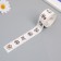 Stick Paper "Siamese cats" d = 2.5 cm 500 pcs in a roll 3x5x5.5 cm