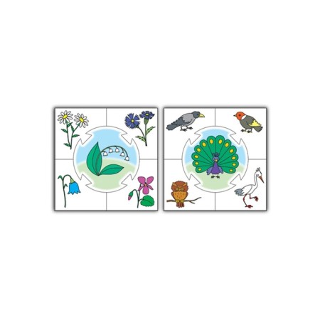 Learning game Learn to play "Living Nature"-3
