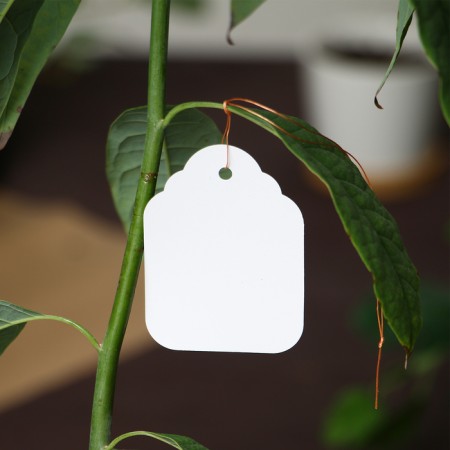 Garden tags for marking, 6.5 × 5 cm, set 20 pcs., Plastic, white, Greengo-5