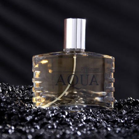 Male toilet water Aqua Platinum, 100 ml (based on Egoiste Platinum (Chanel)-1
