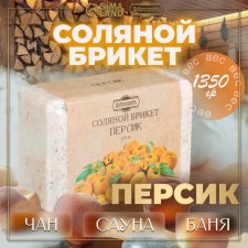 Salt briquette 