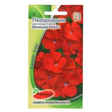 Flower seeds Pelargonium 