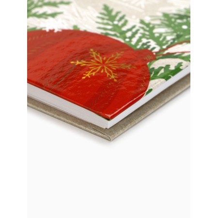 Diary and thermostatic "Let the dreams come true!"-3