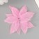 Leaves skeletered for creativity "pink" set 20 pcs h = 6-6.5 cm