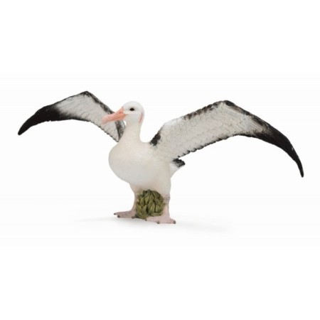 Figure "Wandering Albatros"