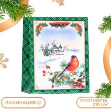 Gift package 