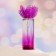 Women's toilet water Flower for Darling, Violet, 55 ml