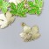 Decor for creativity Metal, enamel "Maple leaves" Green 2x2 cm