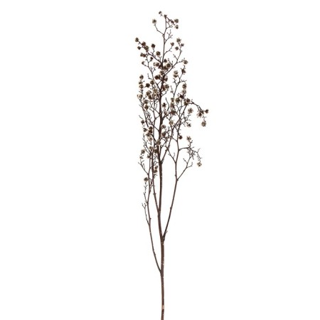 Dry flowers “Molchy Mile”, 25 g, length - 70 cm, white color-2