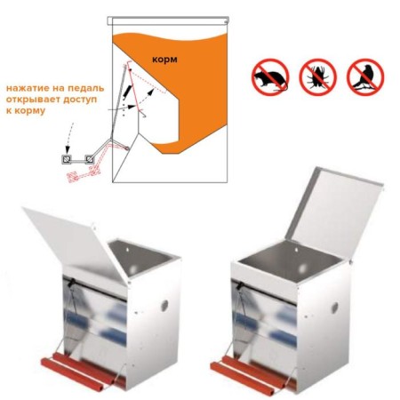 Bunker feeder for poultry at 20 kg, pedal, galvanized steel, Safeed-3