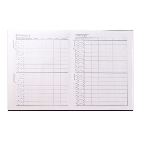 Universal diary for grade 1-11 Sports Sports, solid cover, matte lamination, 3D foil, 40 sheets-4