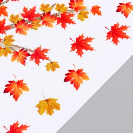 Stick plastic Interior color "Squirrel and pumpkin" 54x27 cm-2