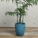 Support for plants, h = 40.5 cm, color mix, Greengo