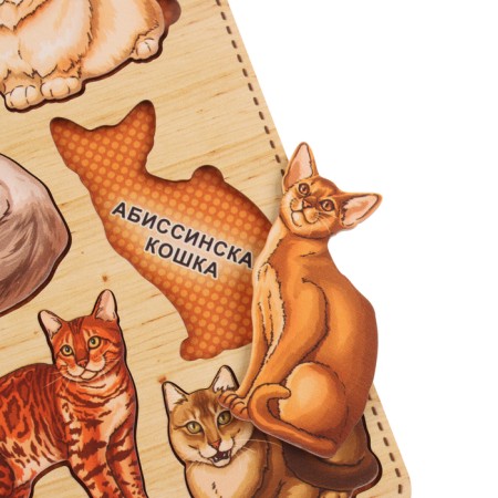 The frames of the "cats of cats"-1