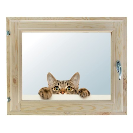 Window, 40 × 60cm, "cat", single -chamber double -glazed window, with a seal