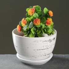 Flower Pot 