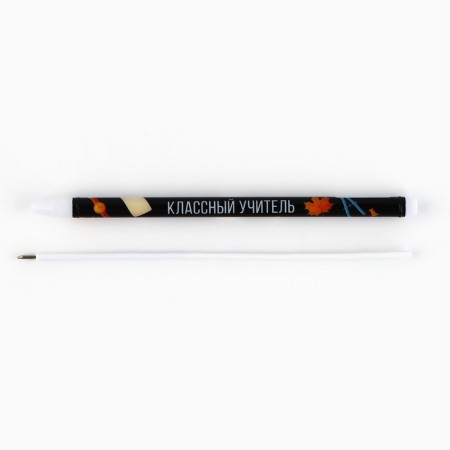 Plastic handle with cap "Class teacher", ball, 0.5 mm, blue pasta-3