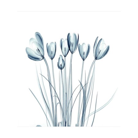Set of napkins for setting the table "water plant", rectangular, size 32x46 cm, 4 pcs-2