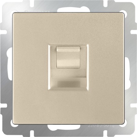Ethernet WL11-RJ-45 socket, champagne color