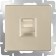 Ethernet WL11-RJ-45 socket, champagne color