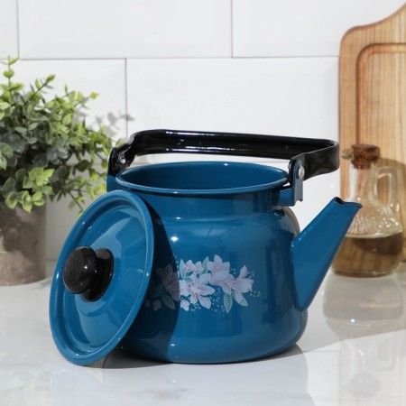 Kettle, 2.3 l, enameled cover, induction, blue color-1