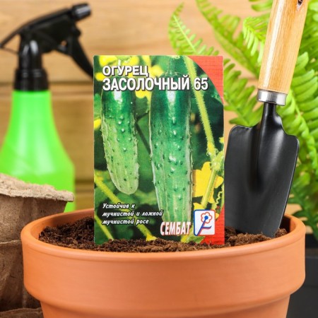 Seeds of cucumber "salting", 0.5 g
