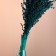 A set of dried flowers "sorghum", banch 3-5 pcs, length 60 (+/- 6 cm), emerald