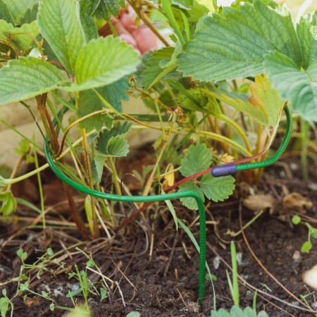 Builder for strawberries, d = 15 cm, h = 25 cm, leg d = 0.3 cm, metal, green, Greengo-5