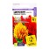 Flower seeds Culifier of the periyan "Kimono" mixture, o, CP, 10 pcs