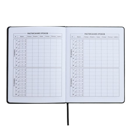 Universal Diary Grade 1-11, 48 sheets "Girl", hard cover of artificial leather, lies, universal cheat sheet, block 80 g/m2-5