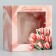 Gift Folder Folding Box, Packaging, “The Most Beautiful”, 14 x 14 x 8 cm