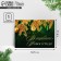 Postcard-Mini "Magic New Year!", Golden branches, 10.5 x 7.5 cm, New Year