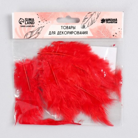 A set of feathers for decor 10 pcs., Size 1 pcs: 10 × 2 cm, red color-1