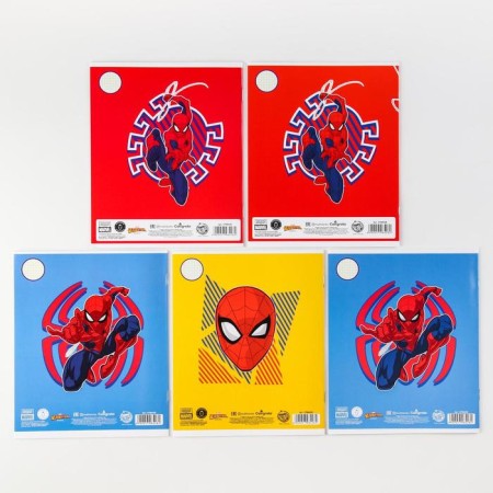 Notebook in a cage 12 sheets, 5 types of mix, cover coated cardboard, spider-man-7