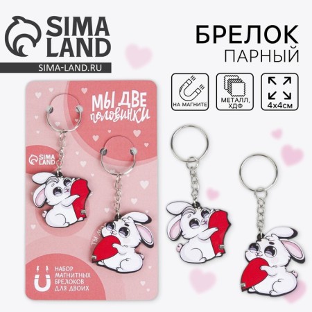 Key keychain, pair on the magnet, 2 pcs "Two halves", 9 x 15 cm