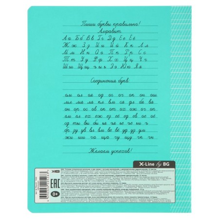 Notebook 12 sheets in a frequent slant with an additional horizontal line, mix-2