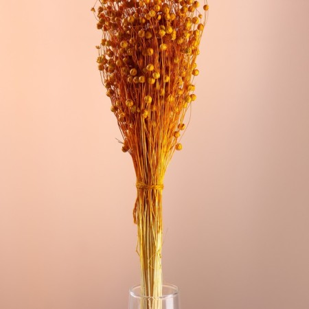 Set of dried flowers "Lenon-long-tuned", banch length 55-60 (+/- 6 cm), yellow-1