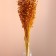 Set of dried flowers "Lenon-long-tuned", banch length 55-60 (+/- 6 cm), yellow