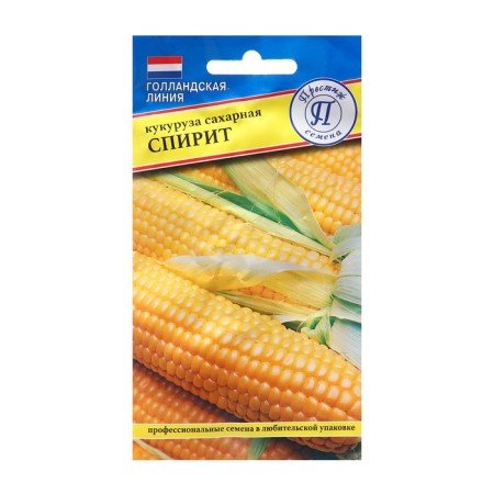 Corn seeds of sugar spirit (RS-1), 10 pcs.